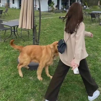 危机女王