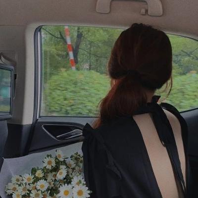 汽车女窃贼